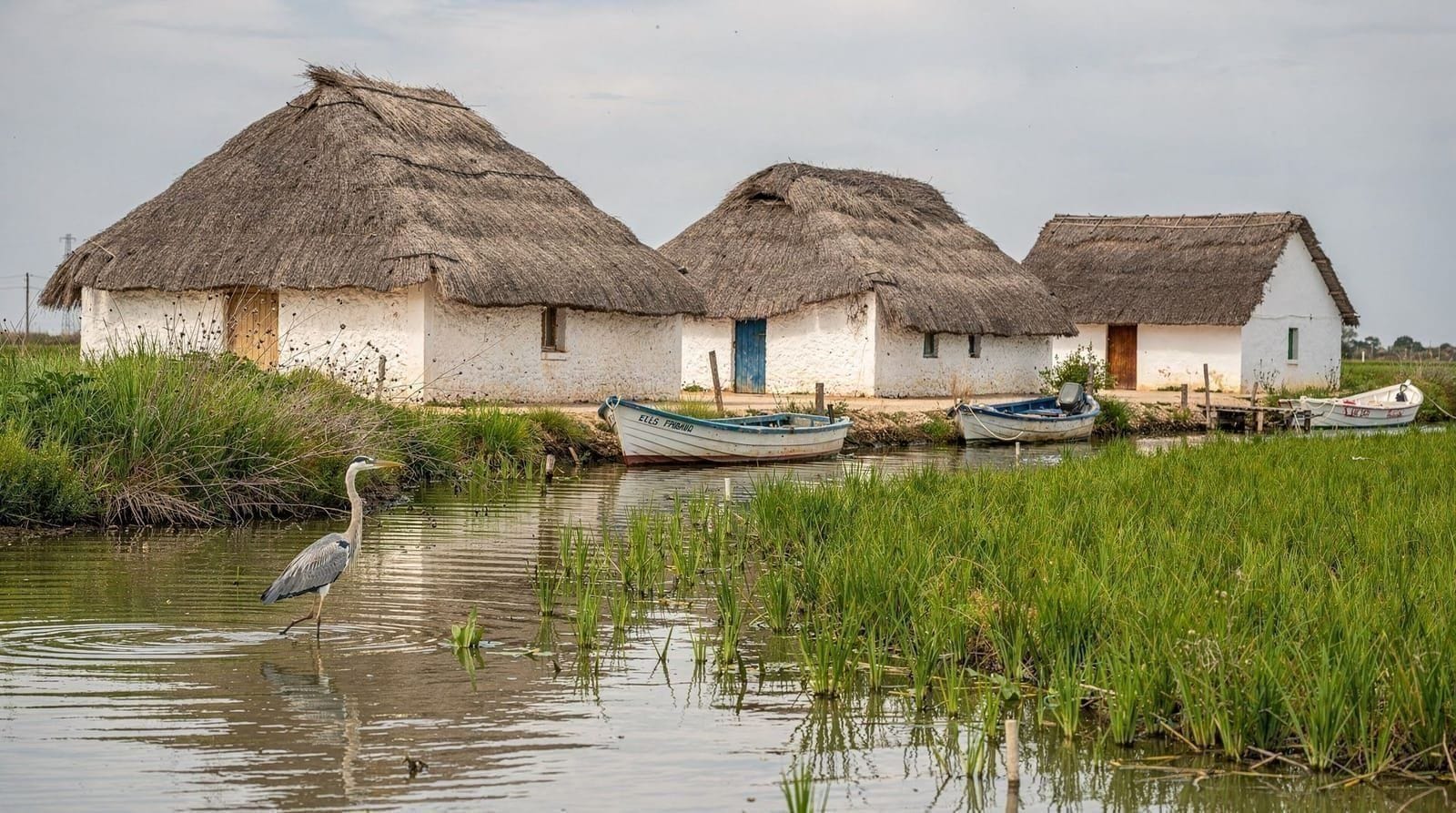 El Palmar — aldeia piscatória da Albufera e origem da paella