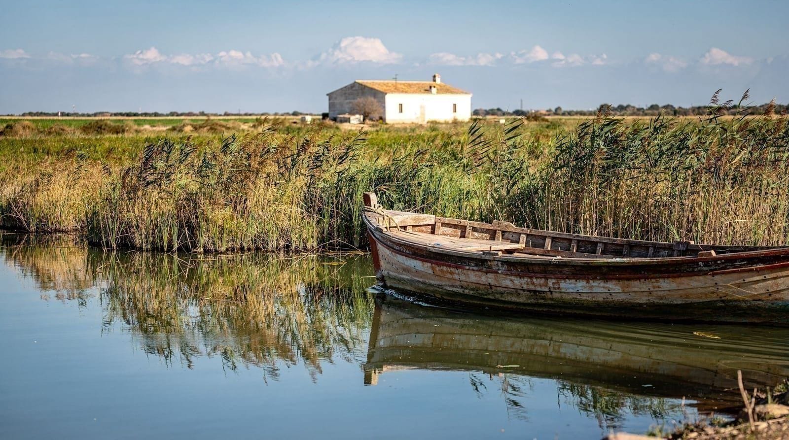 Excursão de dia à Albufera desde Valência: o guia completo