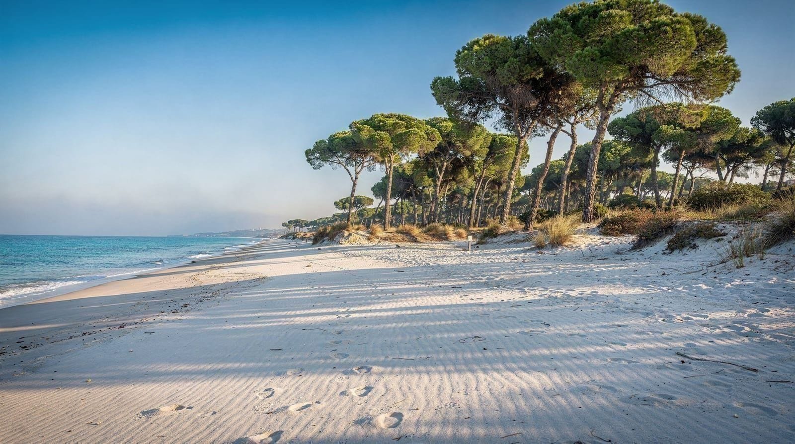 Praia e floresta de La Devesa: a costa intocada da Albufera